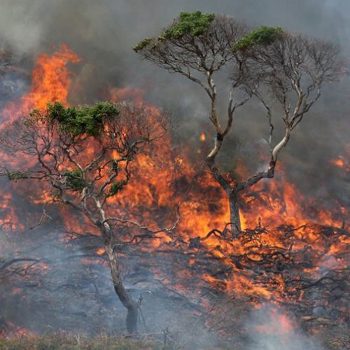 Tasmanian Bushfires